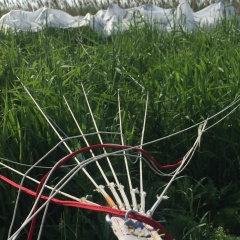 Наталья Евгеньевна, 06.02