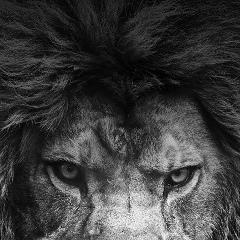 Хозяин Жизни, 03.08.1990, Майкоп