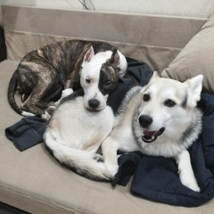 Майк Mc-Dmx, Москва