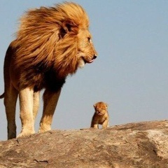 Таулан Боташев, 09.11, Guangzhou