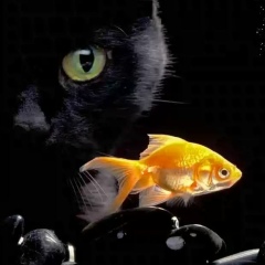 Ольга Кривохижина, 20.06