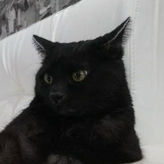 Екатерина Кухто, Витебск