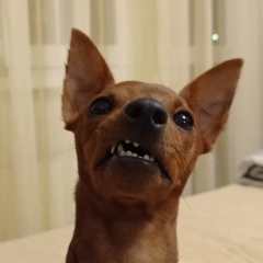 Алексей Земицкий, 21.06