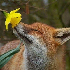 Анна Питель, 27.01, Киев