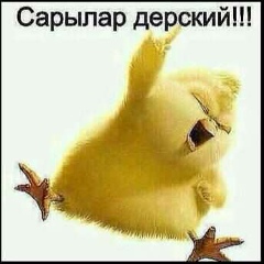 Айгерим Демеуова, 11.12, Алматы