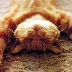 Иван Коркач, Москва