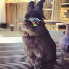 Александр Димов, 23.04.1985, Одесса