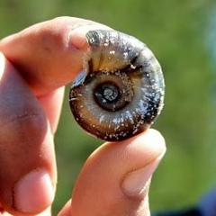 Алексей Пакреев, 09.02, Псков