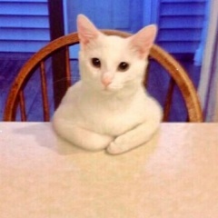 Сергей Неганов, 23.08.1987, Москва