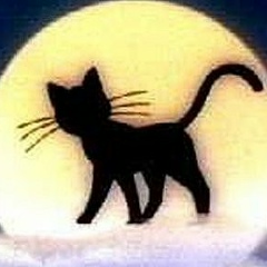 Ольга Шалыгина, 12.06.1988, Семей