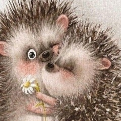 Рустам Мамедов, 25.12.1981, Сребное