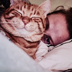 Katty Levitsky, 08.12, Eilat