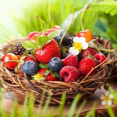 Алиса Погребицкая, Алматы