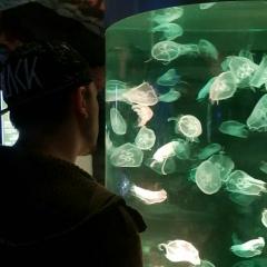 Николай Кемпель, 17.01, Алматы