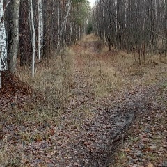 Евгений Зыков