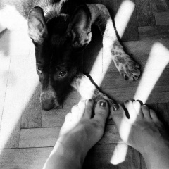 Anya Trofimova, 11.06, Москва