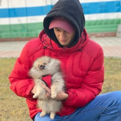 Александр , Новосибирск
