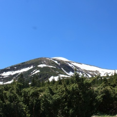 Kofe Kofeinn, 28.08.1986, Минск