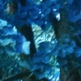 Katerina Shipulina, 05.12