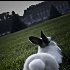 Николай Белолипецких, 26.06