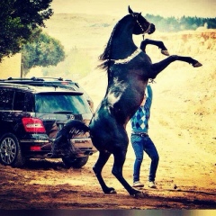 Birzhan Sekenov, 23.04, Талдыкорган