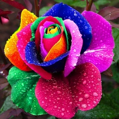 Наталия Мануковская, 11.11.1973, Санкт-Петербург