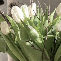 Анна Южанина, Челябинск