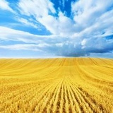 Ирина Кравченко, 09.06, Киев