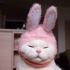 Евгения Смирнова, Вологда