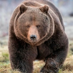 Василий Белоглазов, 18.06.1984