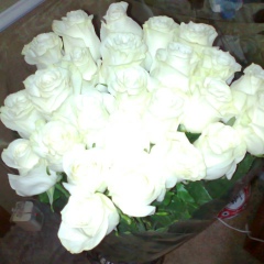 Амина Юсупова, 26.06, Алматы