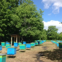 Фирдинат Вафин, 23.04.1986, Казань