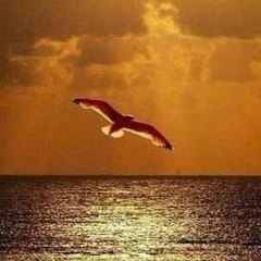 Ирина Г, 23.01