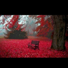 Алина Анисимова, 30.11.1991, Athens