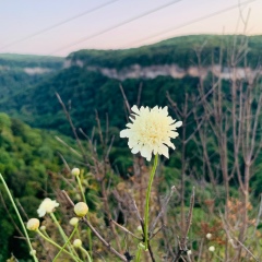 Фариза Тлемиганова, 05.05, Москва