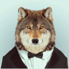 Базымбеков Жазылбек, 05.09, Sydney