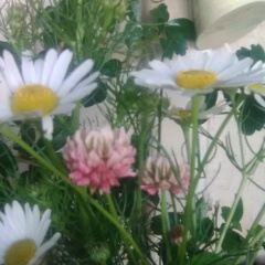 Катя Котова, 10.06, Санкт-Петербург