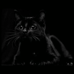 Анна Левкович