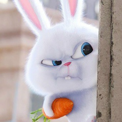 Екатерина Владимирова, 30.07, Николаев