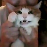 Арина Кондулевич, 11.04.1986, Красноярск