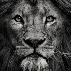 Асхат Алпысбаев, 17.10.1987, Алматы