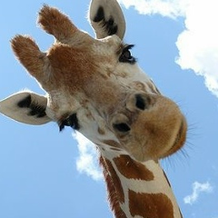 Евгений Постников, 02.05, Новосибирск