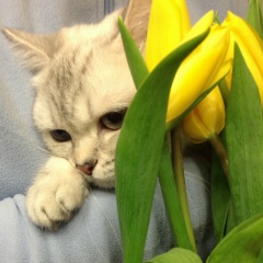 Ирина Кузнецова, 05.07