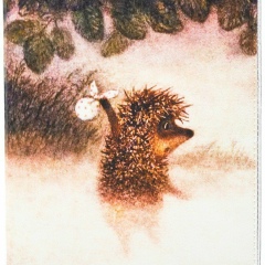 Евгений Сергеев, 25.04.1990, Инта