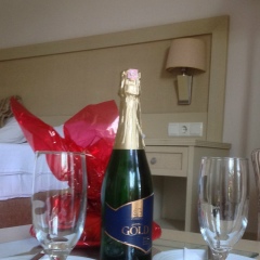 Сергей Фирсов, Саранск