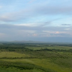 Надежда Савчиц