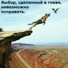 Musa Murqalov, 12.08.1984