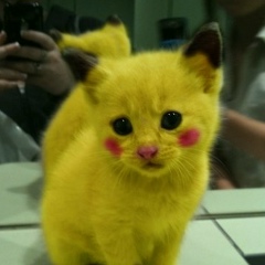 Амиль Искендеров, 01.04, Москва