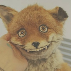 Артем Снежкин, 20.10.1989, Нижний Новгород