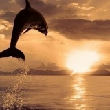 Nurik Baymusa, 26.06, Алматы